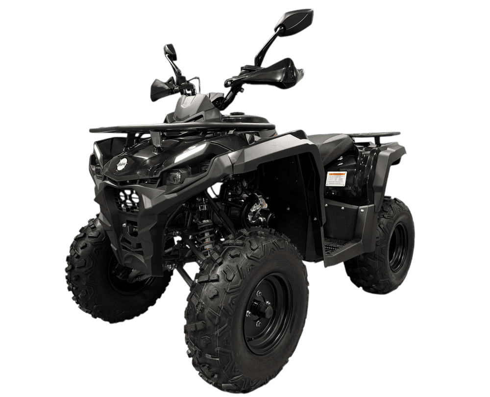 Квадроцикл Iride ROVER 200 R01 черный