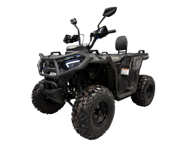 Квадроцикл Iride ROVER Mini 125 черный в Азимут 66
