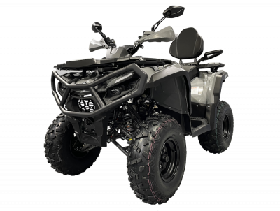 Квадроцикл Iride ROVER 200L R01 серый в АЗИМУТ 66